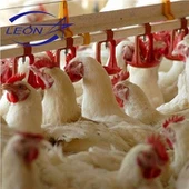 Leon plen otomatik Reproduksion Chodye Sistem manje