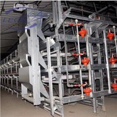 Solid dirab H kalite Broilers Cage