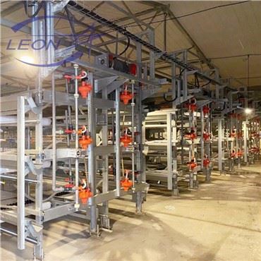 Djanm H Kalite Broilers Cage