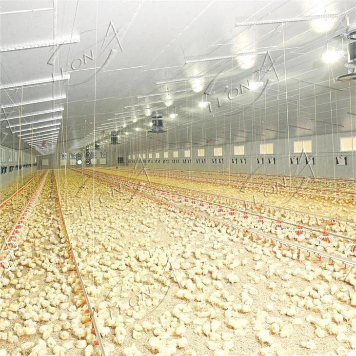 Broiler Etaj ogmante system