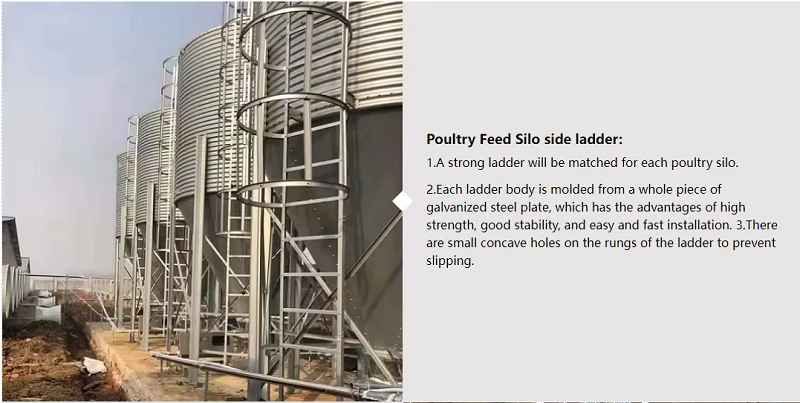 silo3 silo3