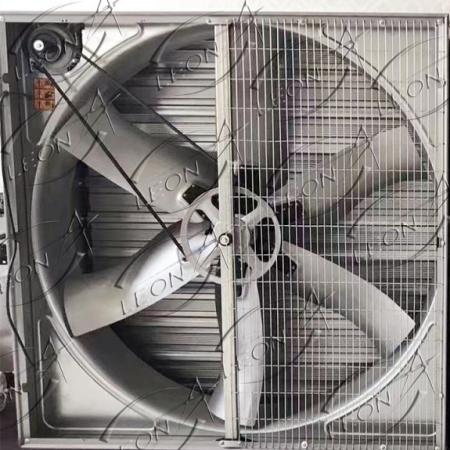 product-450-450