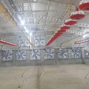 product-300-300